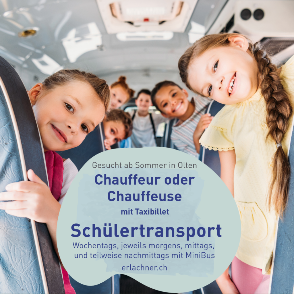 Chauffeur/Chauffeuse gesucht